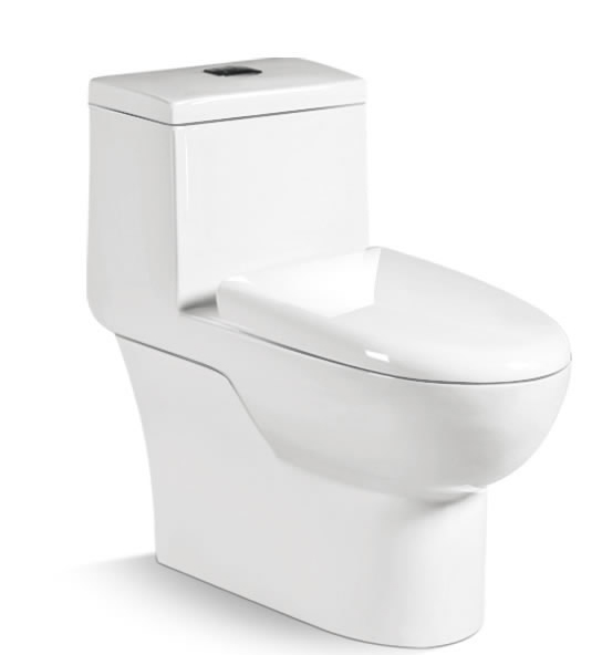 One piece Toilet T9061